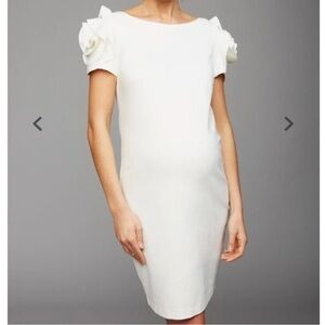 Pietro Brunelli Salisburgo Rose Maternity Dress M